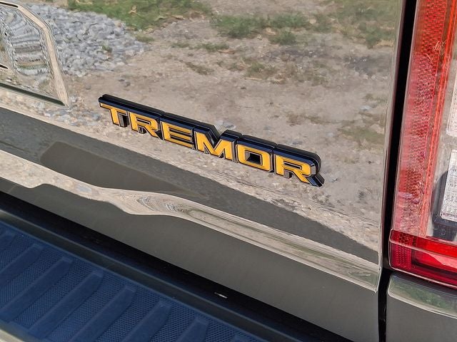 2021 Ford F-150 Tremor