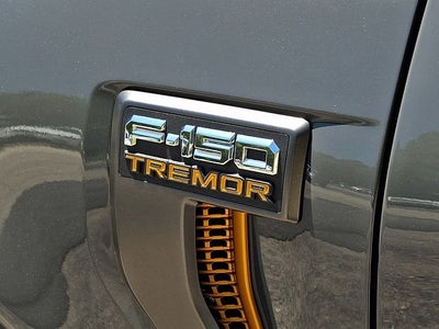 2021 Ford F-150 Tremor